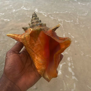 Meet your Posher, Benita